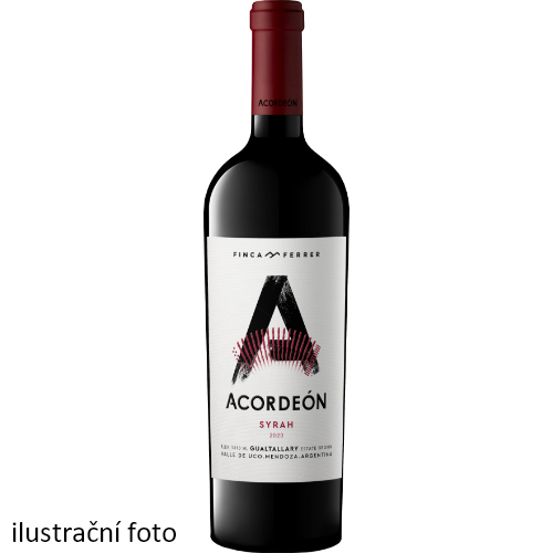 Acordeón Syrah 2020